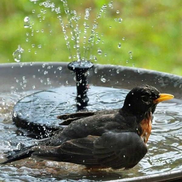 Solar Water Fountain for Garden — Eco-Friendly Outdoor Fountain