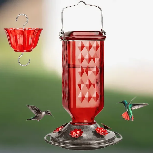 24oz Leak-Proof Glass Hummingbird Feeder