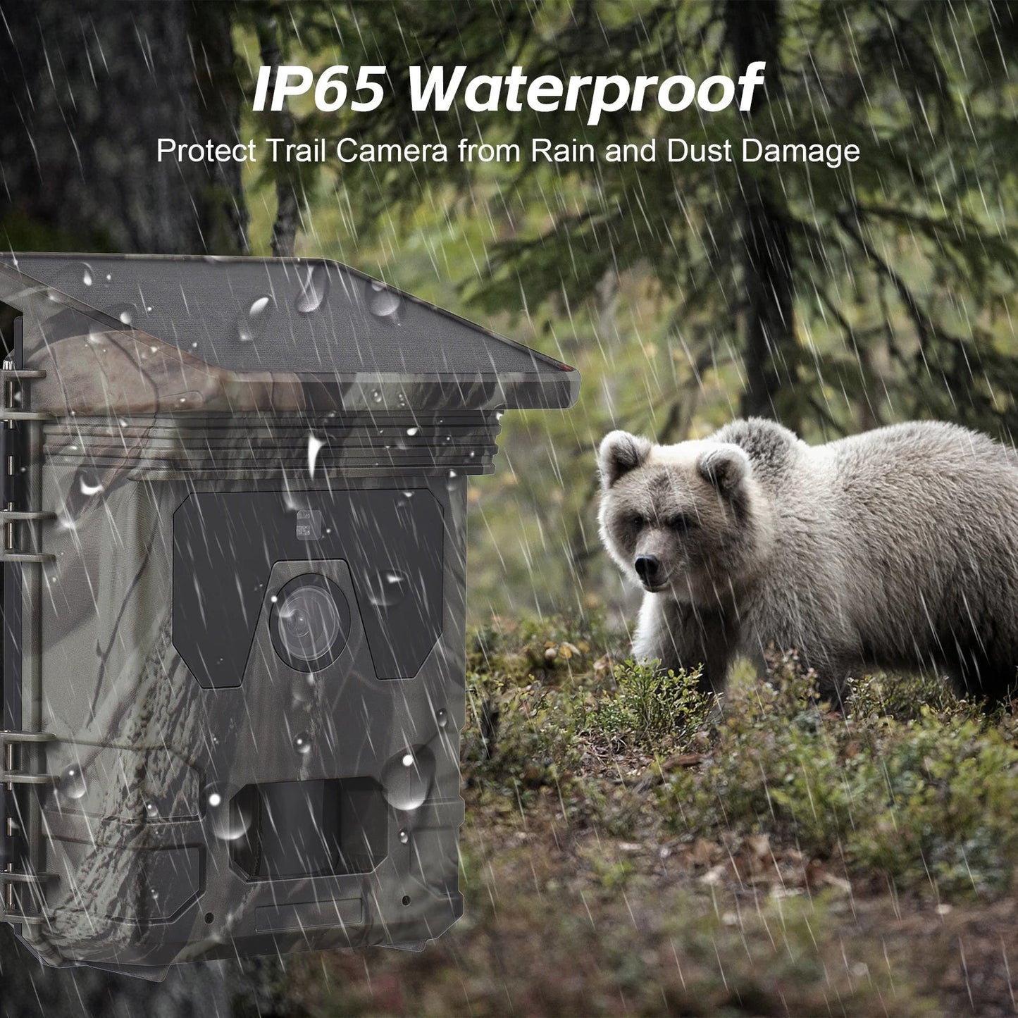 Solar-Powered Night Vision Trail Camera