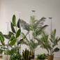 Indoor Plant Grow Light — Full-Spectrum LED