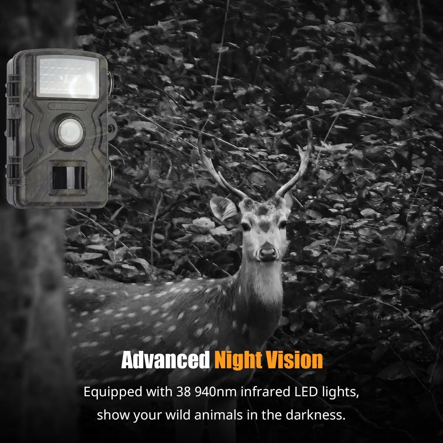 1080P HD Night Vision Trail Camera – Wildlife & Security Camera