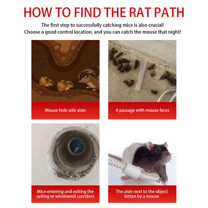 Sliding Door Reusable Mouse Trap Cage – Humane Rodent Control