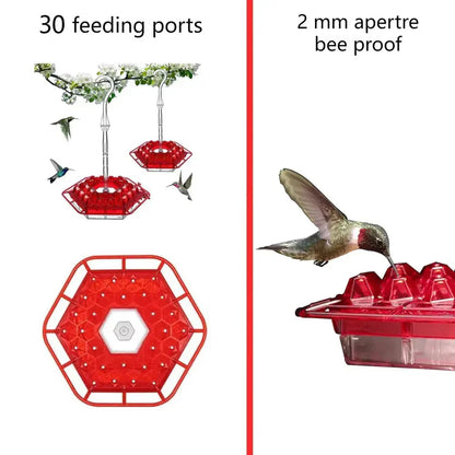 Ant-Proof Hummingbird Feeder — Hanging Outdoor Perch