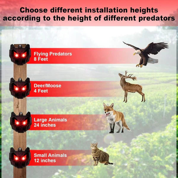 Solar-Powered Outdoor Nocturnal Animal Repeller (2-Pack)