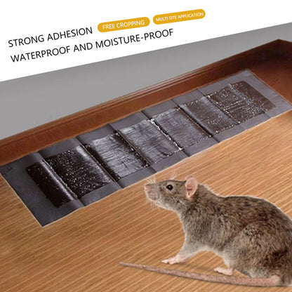 5 Extra-Large Glue Pads for Mice & Rats