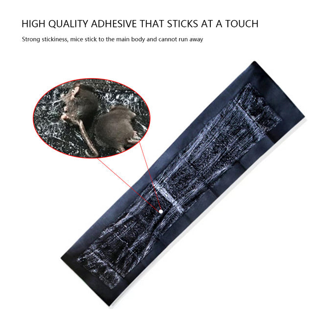 5 Extra-Large Glue Pads for Mice & Rats