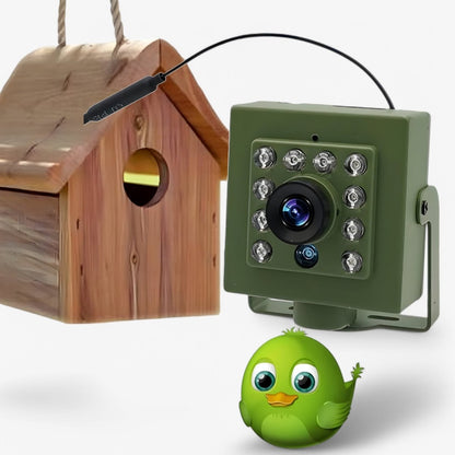 1080p HD Weatherproof Wildlife Camera – Night Vision & Motion Detection