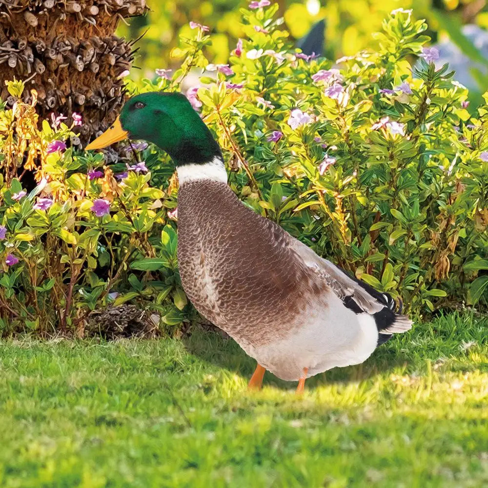Outdoor Duck Decoration – Double-Sided Garden Silhouette