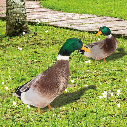 Outdoor Duck Decoration – Double-Sided Garden Silhouette