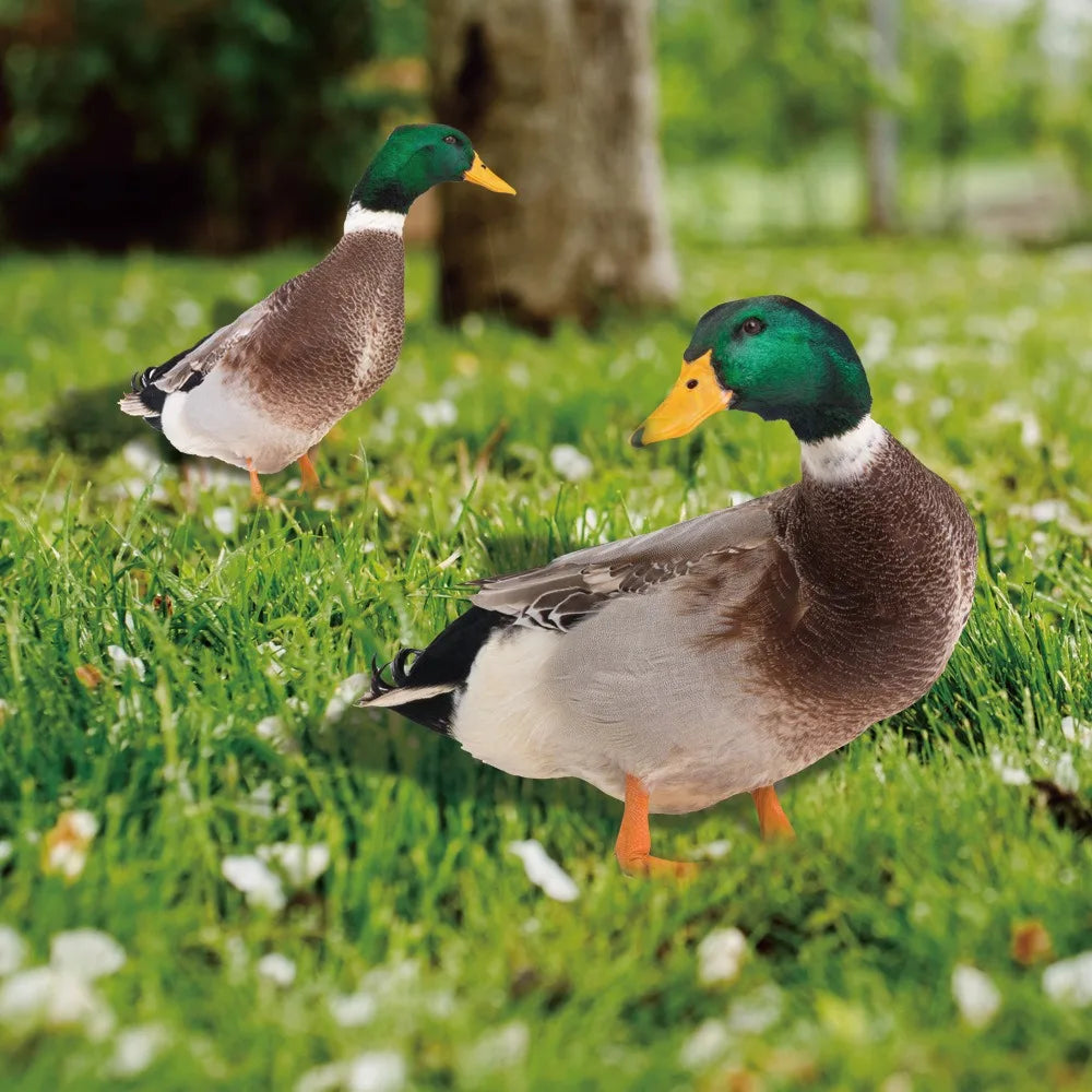 Outdoor Duck Decoration – Double-Sided Garden Silhouette