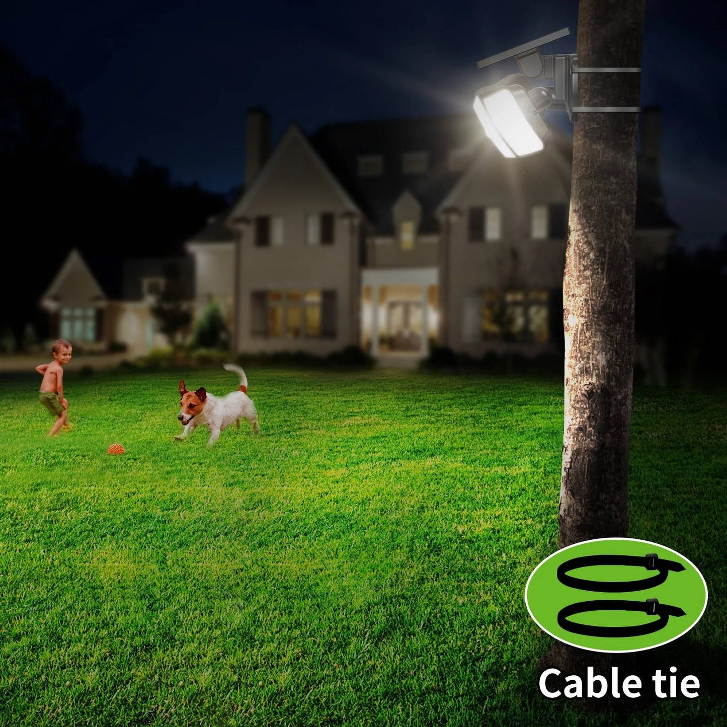 Solar-Powered Flood Lights with Motion Sensor