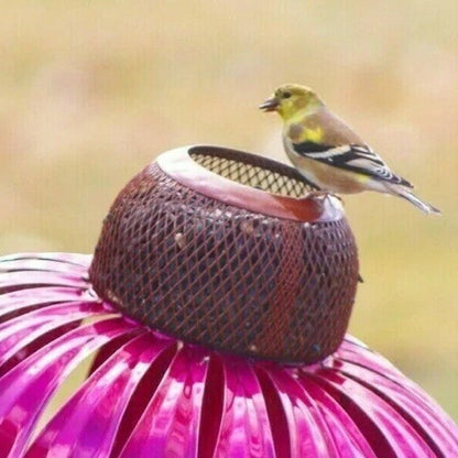 Coneflower Bird Feeder — Colorful Garden Bird Feeder