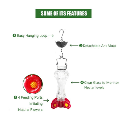 Flowers Glass Hummingbird Feeder with Ant Moat