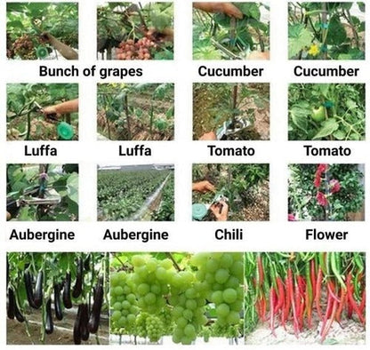 Plant Strappers – Garden Trellis Tool for Climbing Plants