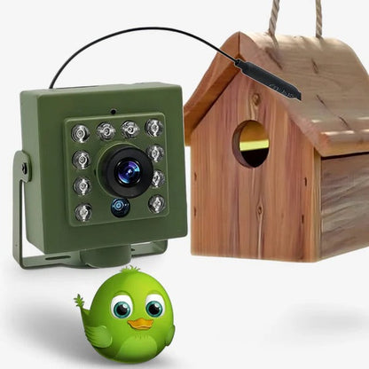 HD WiFi Bird Nest Camera – Live Bird Watching Camera
