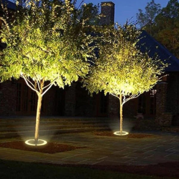 LED Tree Spotlight – Outdoor Garden Illumination
