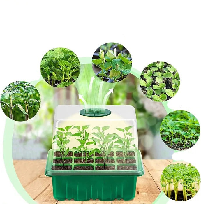 Nursery Pot with Grow Light — Plant Seed Starter Tray