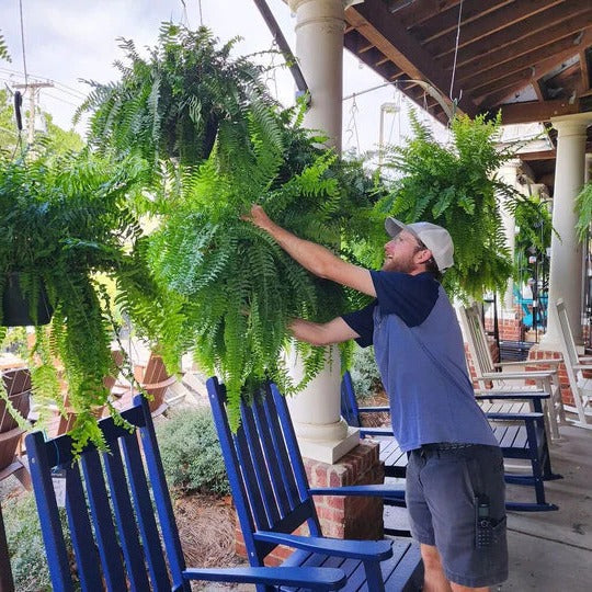 UV-Resistant Artificial Boston Fern — Lifelike Outdoor Greenery