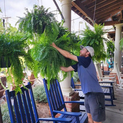 UV-Resistant Artificial Boston Fern — Lifelike Outdoor Greenery