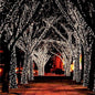 17-Meter Solar-Powered LED Fairy Lights String – 100 Lights