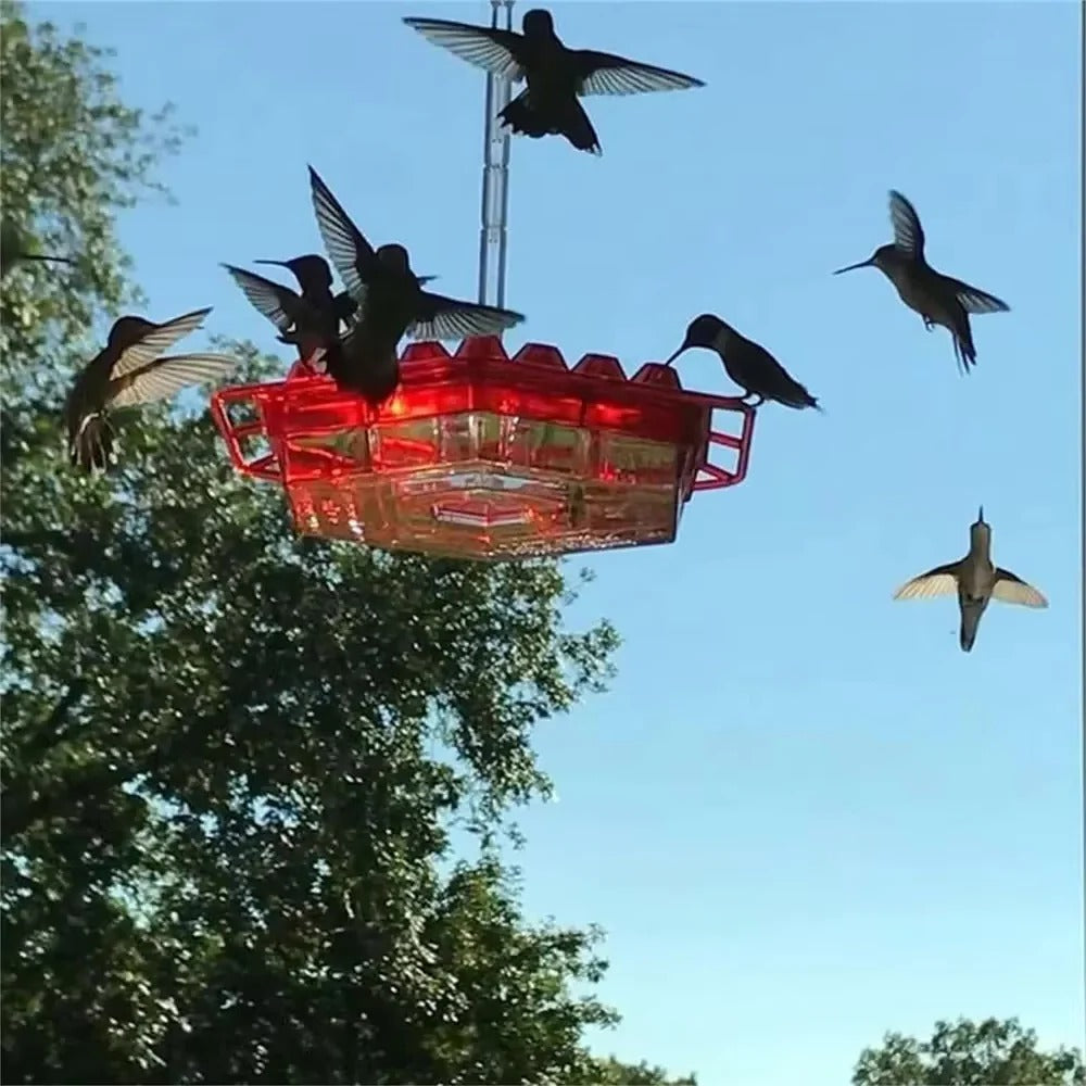 Ant-Proof Hummingbird Feeder — Hanging Outdoor Perch