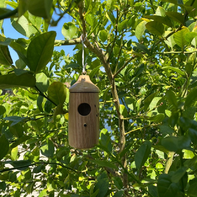 Wooden Hummingbird House — Natural Wood Garden Décor