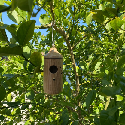 Wooden Hummingbird House — Natural Wood Garden Décor