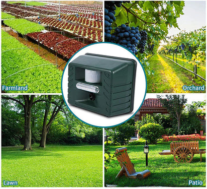 Woodpecker Ultrasonic Repeller — Humane Bird Deterrent