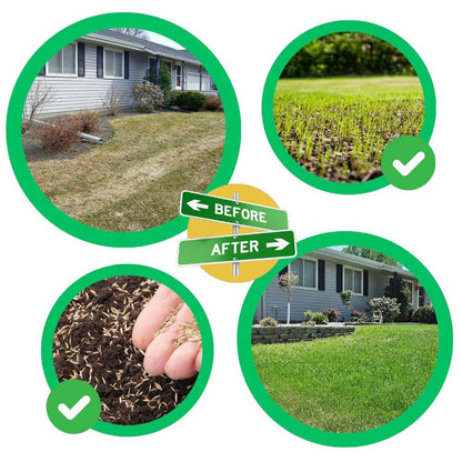 Quick Fix Green Grass Seed Mat — Instant Lawn Patch