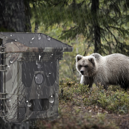 Solar-Powered Night Vision Trail Camera